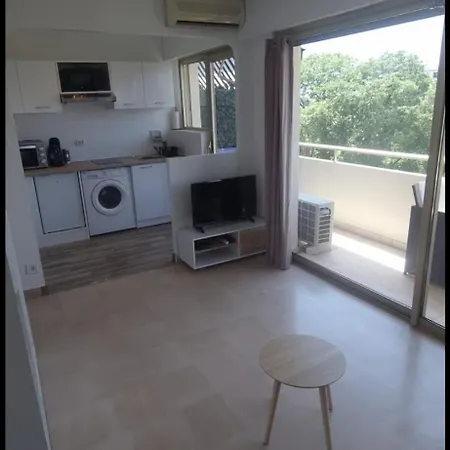Beau Lumineux Apartment Antibes